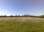 Catral, vista hacía Callosa de Segura - panoramio